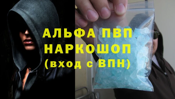 спайс Беломорск