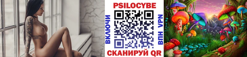 закладки  kraken ТОР  Псилоцибиновые грибы прущие грибы  Ростов-на-Дону 